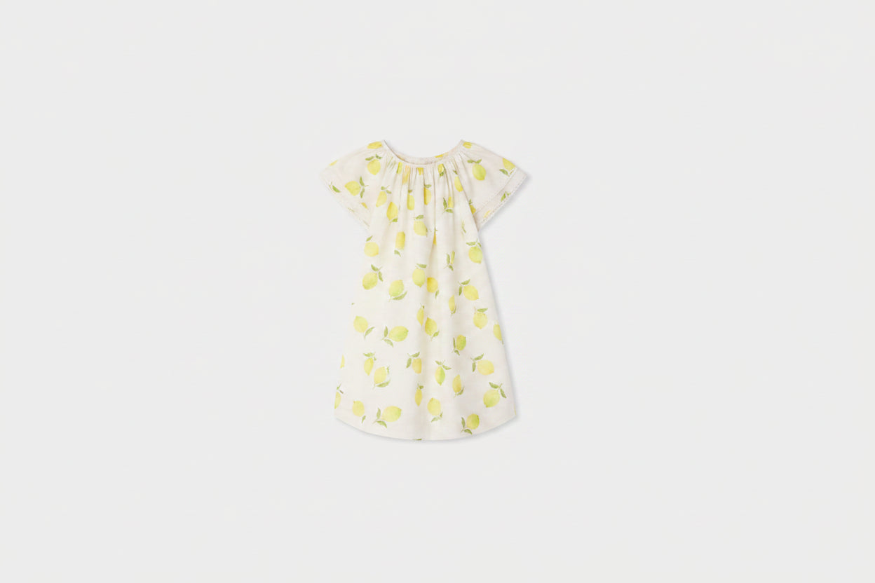 Smocked dress in organic cotton poplin